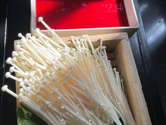 -大隐·成都火锅Bistro(合生麒麟新天地店)