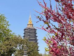 -红梅公园