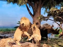 -国家自然博物馆