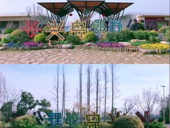 -上海长兴岛郊野公园
