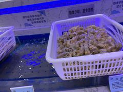 -澜悦港海鲜体验主题餐厅