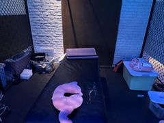 -W FITNESS 威尔仕健身·游泳(老西门新苑店)