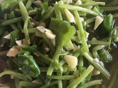 -同銮特种养殖场·龙虾垂钓