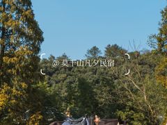 -莫干山风景区