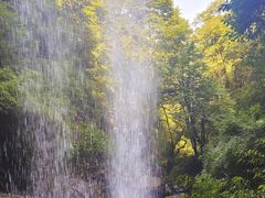 -龙苍沟森林公园