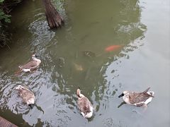 -海珠湖公园