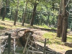 -秦皇岛野生动物园