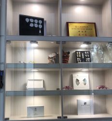 -DEM缔怡美科技美容