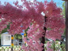 -赣江里•江西菜(望京旺角店)