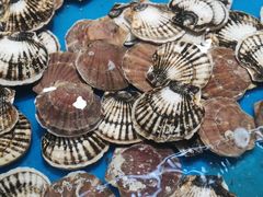 -万宝海鲜舫(劳动公园店)