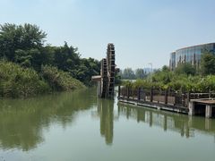 -洋湖国家湿地公园