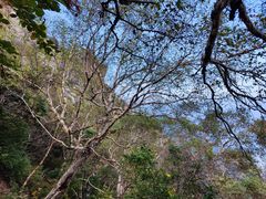 -白草畔自然风景区