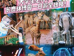 -长鹿旅游休博园