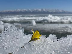-赛里木湖风景名胜区