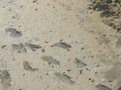 -北海金海湾红树林生态旅游区