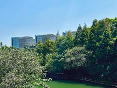 -乌镇景区