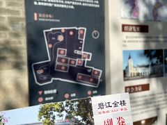 -碧江金楼