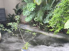 -漫笙舍Manse·咖啡·民宿