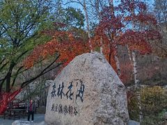 -本溪老边沟风景区