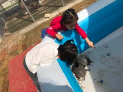 -上美四季动物农场