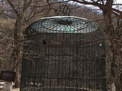 -吉林市朱雀山国家森林公园
