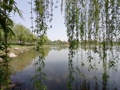 -上海滨江森林公园