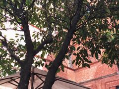 -Ocean's Table 欧舍