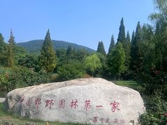 -习家池