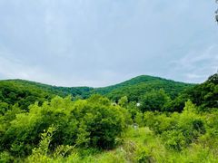 -长春市南湖公园