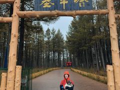 -塞罕坝国家级自然保护区