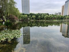 -后襄河公园