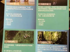 -东姑阿都拉曼海洋公园