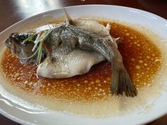 -古南都·老广东酒楼(龙江店)