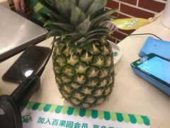 -百果园(金澄路店)