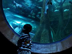 -成都浩海立方海洋公园