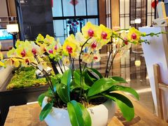 -海口喜来登酒店