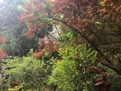 -翠湖里(翠湖南路店)