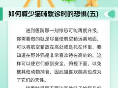 -瑞派申生动物医院·24H夜诊·国际动物医疗中心·骨外科(吴中路店)