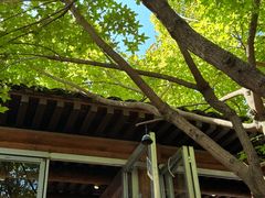 -VOYAGE COFFEE(杨梅竹店)