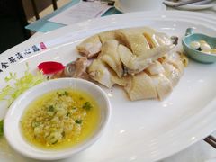 -清心鸡沙田乳鸽店·非遗传承(粤垦路店)