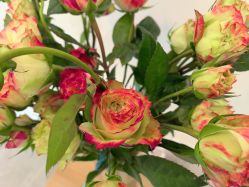 -FUMEIHUI·科技美肤·美体SPA