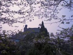 -武汉大学-樱园