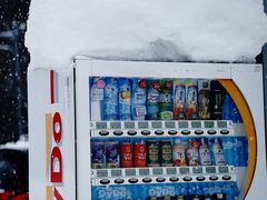 -小樽运河广场(運河プラザ)