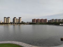 -映月湖中央公园