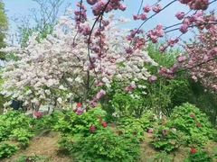 -江南大学(蠡湖校区)