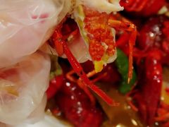 -德信恒隆国际酒店