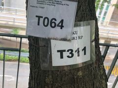 -香港大学