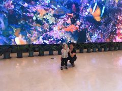 -贝林大翅鲸简餐厅(国家海洋博物馆店)