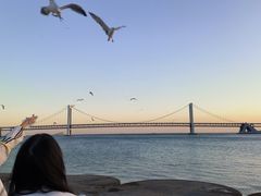 -星海湾跨海大桥