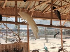 -韶关经律论国际酒店温泉